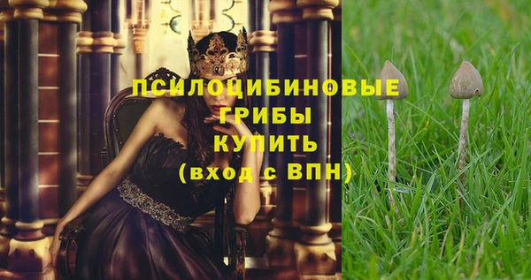 соль курить ск Ростов