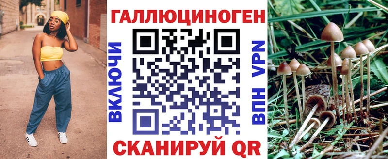 blacksprut ссылки Волоколамск Псилоцибиновые грибы мицелий цены